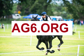 意甲频道：AC米兰 vs 莱切